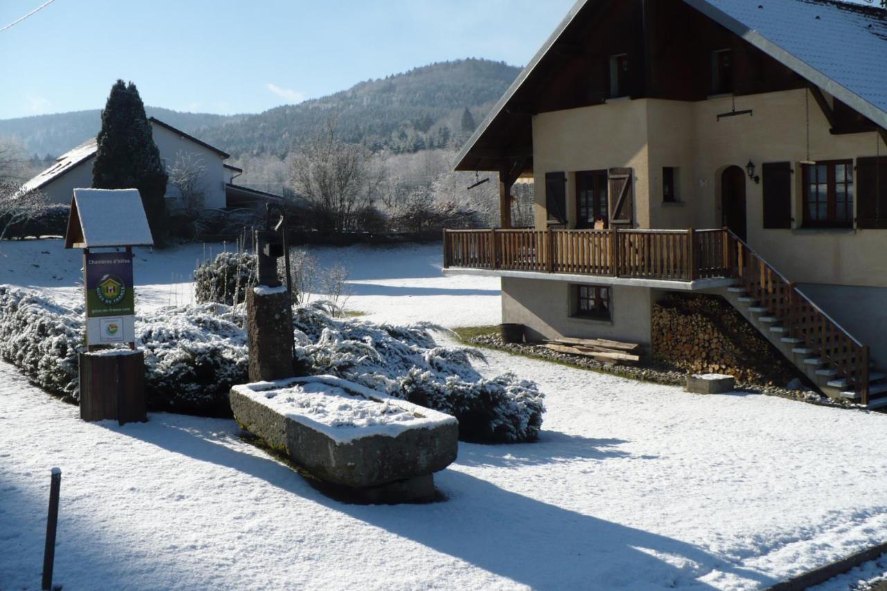 Les Jumeaux Apartment Granges-sur-Vologne Ngoại thất bức ảnh
